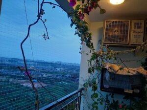 img 20240413 wa0014 (1)