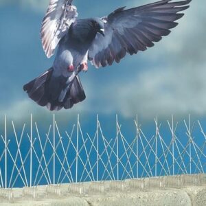 pigeon bird spikes